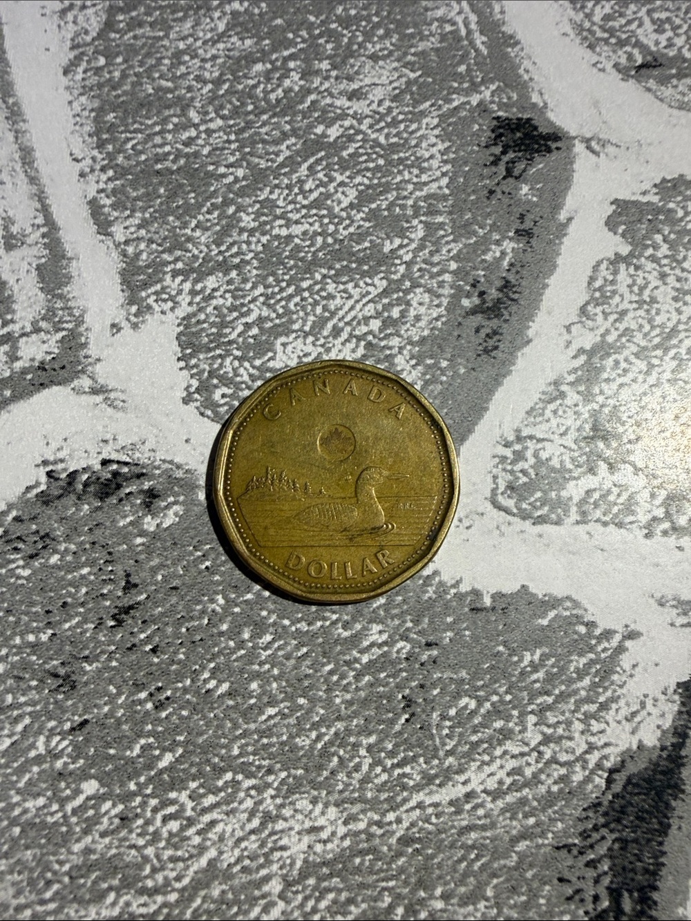 Rare Canadian dollar coin 2012